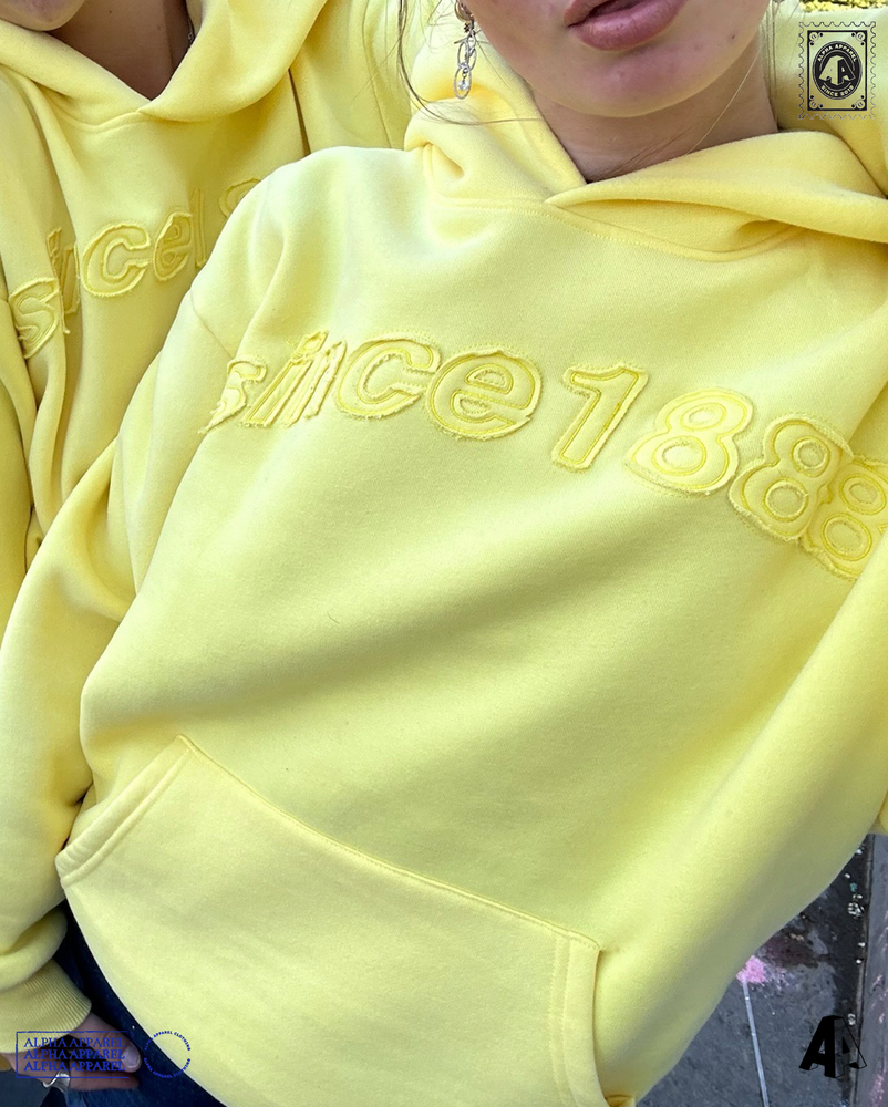Standard Hooded Sweatshirt worn 65